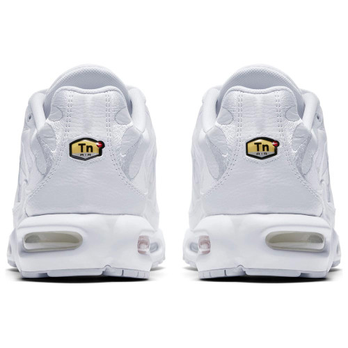 Nike Air max plus TN